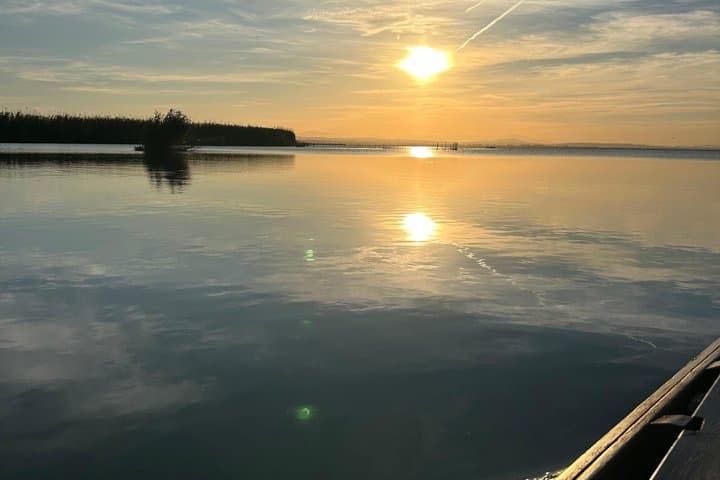 Experience Albufera from Valencia at sunset and boat trip