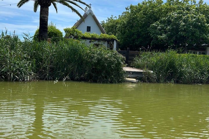 Experience Albufera from Valencia at sunset and boat trip