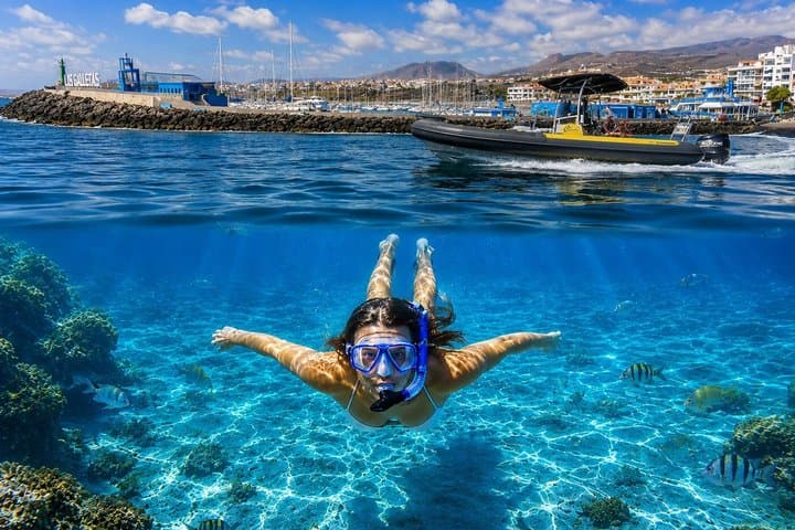 Deepfin snorkeling adventure in Tenerife Marine life exploration