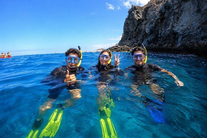 Deepfin snorkeling adventure in Tenerife Marine life exploration
