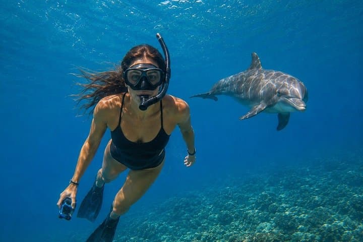 Deepfin snorkeling adventure in Tenerife Marine life exploration