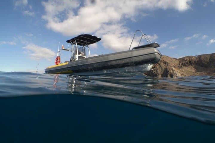 Deepfin snorkeling adventure in Tenerife Marine life exploration
