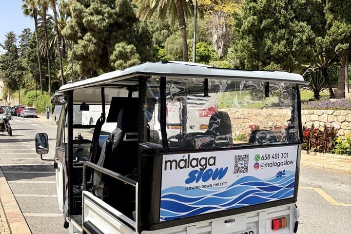 Private Electric Tuk Tuk Tour of Malaga's Coastal Gems
