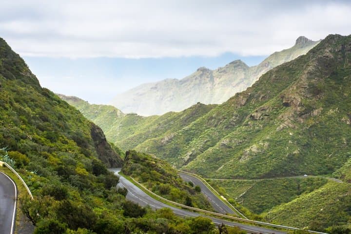 Santa Cruz, Laguna and Laurisilva Forest Tour