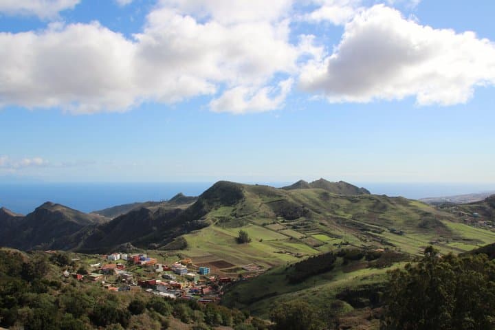 Santa Cruz, Laguna and Laurisilva Forest Tour