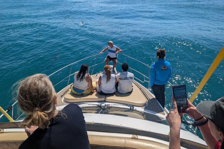 4H Private Yacht Charter from Fuengirola with Snacks & Drinks