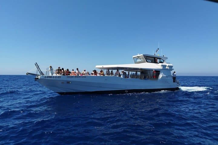 Mallorca Paradise Boat Trip and Puerto de Andratx