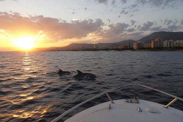 Private Yacht Tour in Fuengirola with Snacks and Drinks
