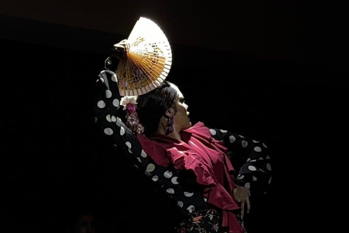 Flamenco show in Barcelona