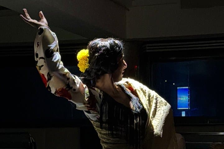 Flamenco show in Barcelona