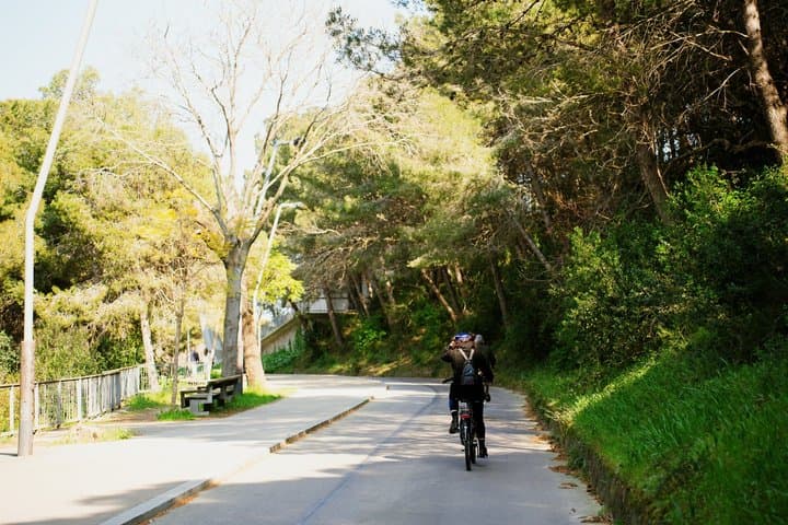 Barcelona E Bike Adventure Montjuic and Olympic Stadium Tour