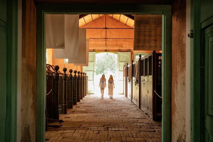 Skip the Line: Parc Samà Admission Ticket