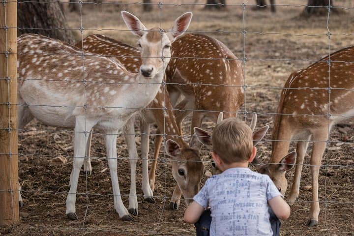 Skip the Line: Parc Samà Admission Ticket