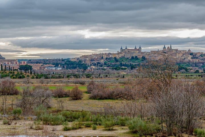 Seville: Royal Alcazar Priority Entry + Audio Guide