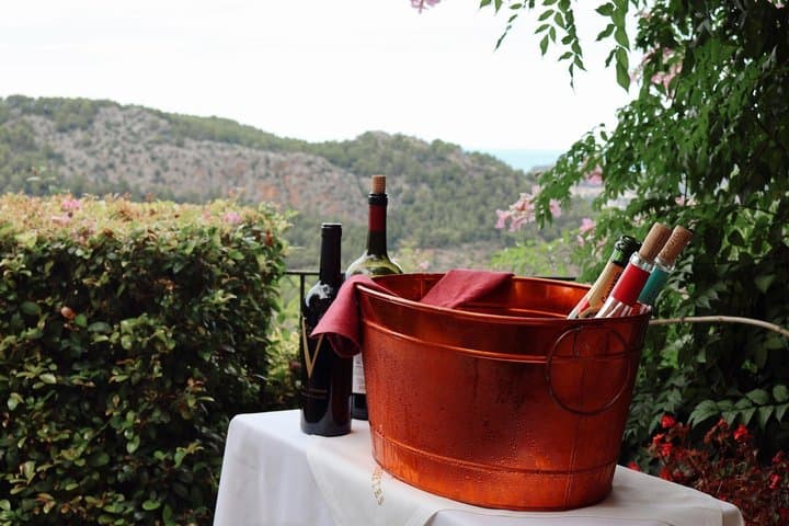 Wine and Cava Tour in Penedes from Barcelona with Hotel Pickup
