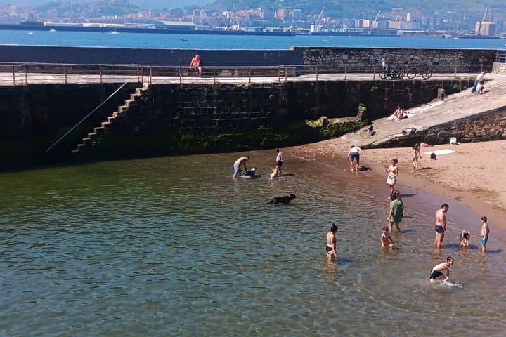 Getxo: Suspension Bridge, Cruise ships, and Old Port.