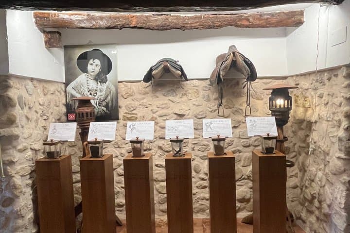 Alicante: Wine Route with Tastings and Appetizer
