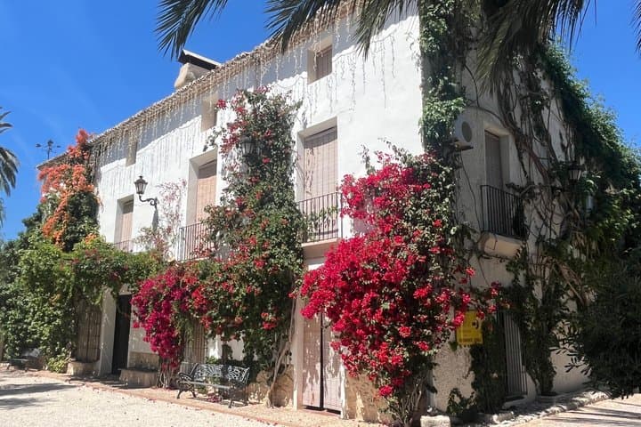 Alicante: Wine Route with Tastings and Appetizer