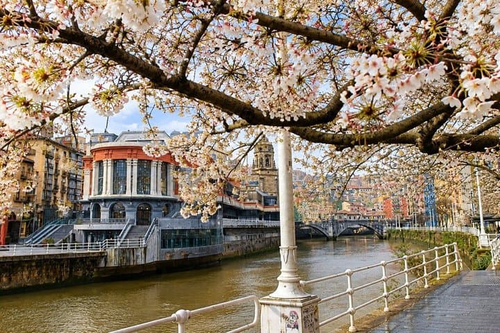 From Old Town to Guggenheim History and Gastronomy of Bilbao