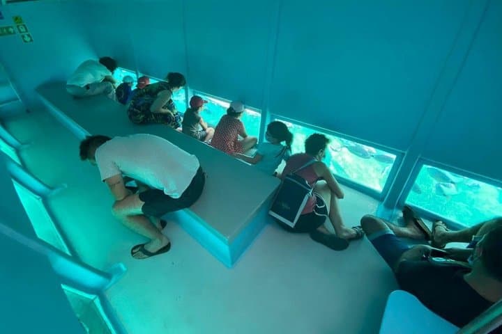 From Roses: Cala Murtra: A Submarine World (New Free Audio Guide)