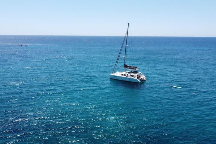 Los Cristianos: Luxury Whale Watch Swim Stop Food & Drinks