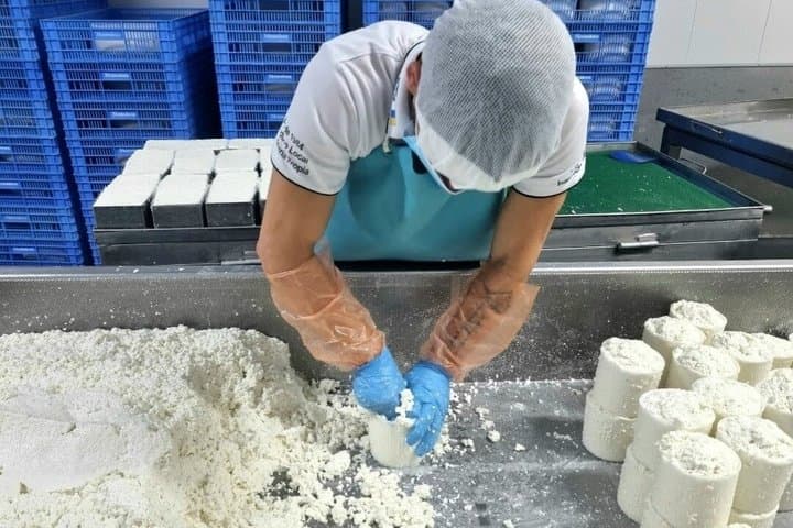 Guided Tour Montesdeoca Cheese Factory - Cheese and Wine Tasting