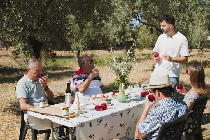 Córdoba : Visit to organic olive groves with tasting and tasting