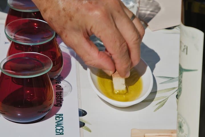 Córdoba : Visit to organic olive groves with tasting and tasting