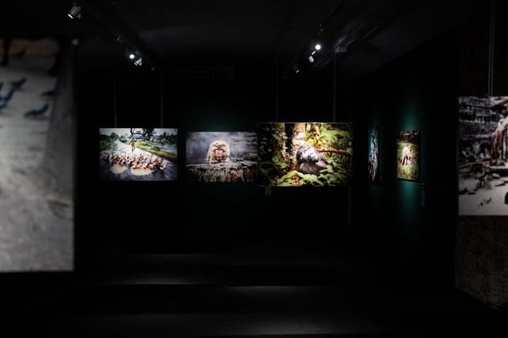 Palau Martorell and Steve McCurry ICONS Exhibition Ticket