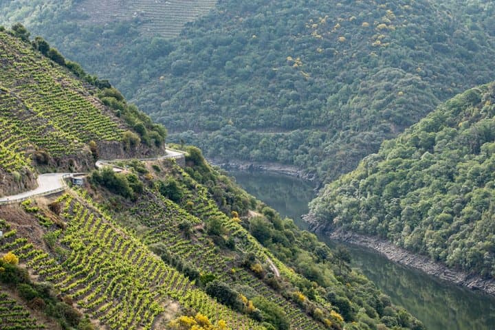 Galician Wine Masterclass