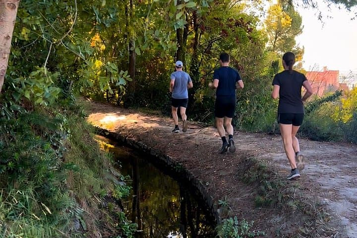 Running tour in Granada and the Alhambra surroundings