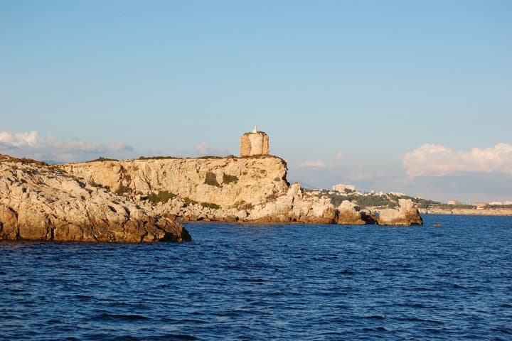 5-hours Palma Catamaran Cruise