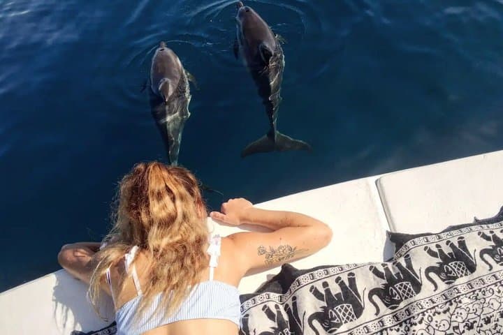 Dolphin Watching in Manilva