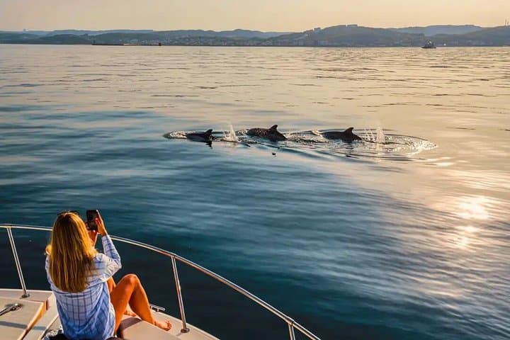 Dolphin Watching in Manilva