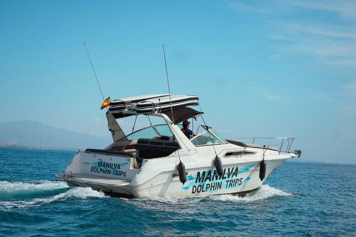Dolphin Watching in Manilva