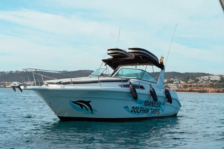 Dolphin Watching in Manilva