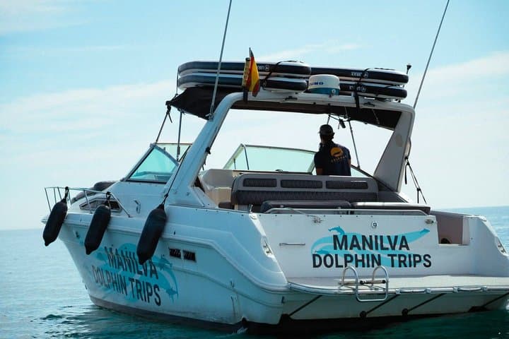 Dolphin Watching in Manilva