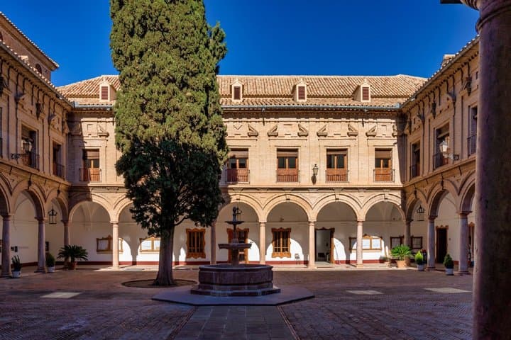 Antequera Audio Guided Walking Tour 1h50 and 17 reviews
