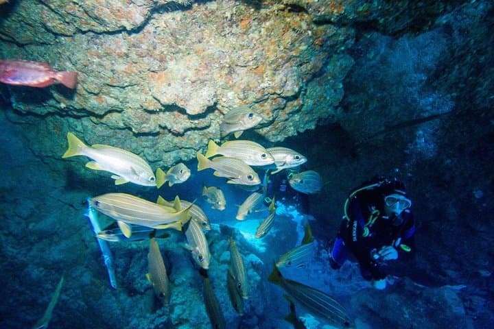 Guided 2-Dive Scuba Trip in South Tenerife