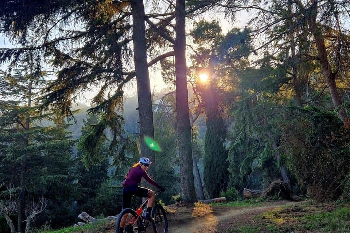 Private VIP Mountain Bike Adventure by Collserola