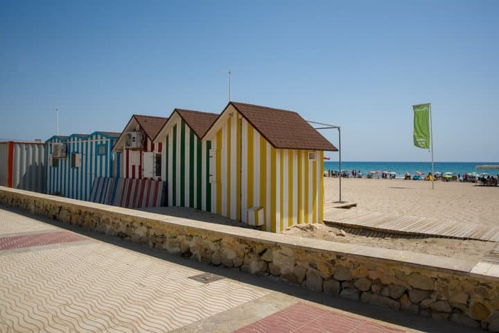 Tour Traditional Market of Benidorm Local Experience