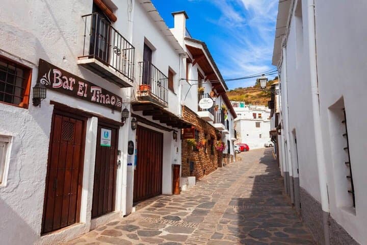 Hello Granada: Private 2-Hour Intro City Walk with Local Guide