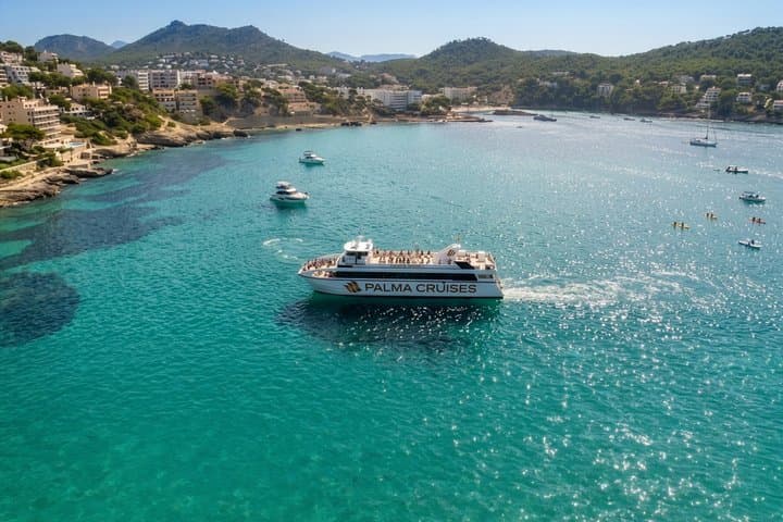 5-Hour Snorkeling in Palma Bay