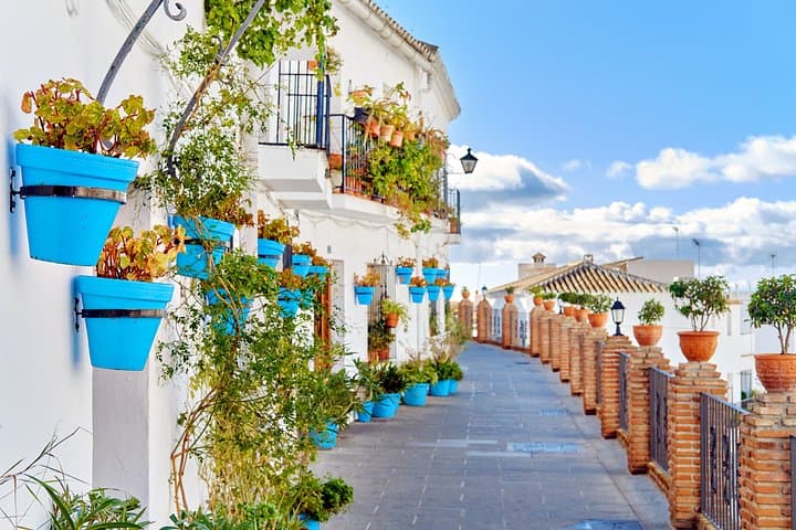 Malaga Shore Excursion Costa del Sol Signature Escape
