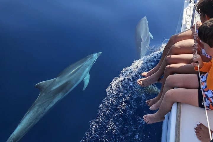 Marbella Sunset From Sailboat Dolphins with Drinks Snack Elan com