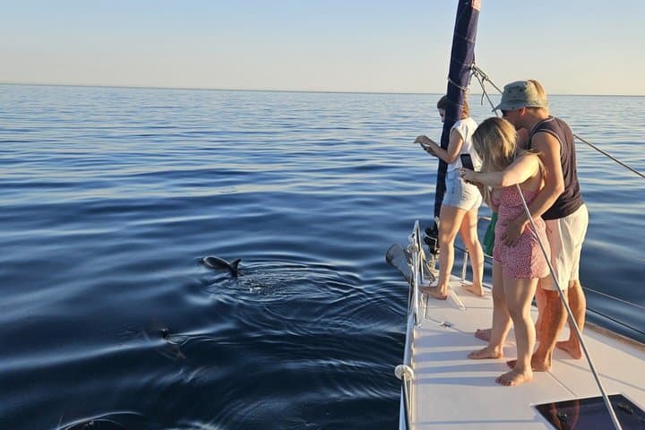 Shared tour marbella dolphins snack drinks 2.5 h dufour412