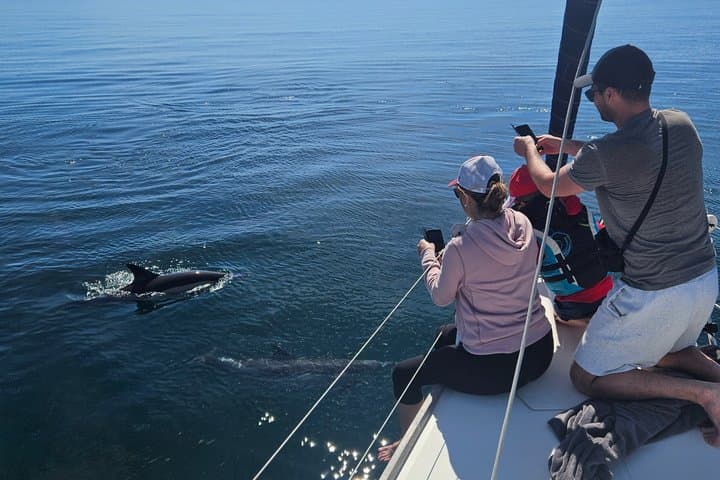 Shared tour marbella dolphins snack drinks 2.5 h dufour412
