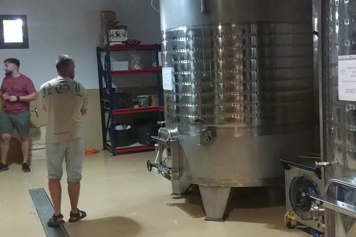 Family Winery of Three Generations (5 testings) Transfer included