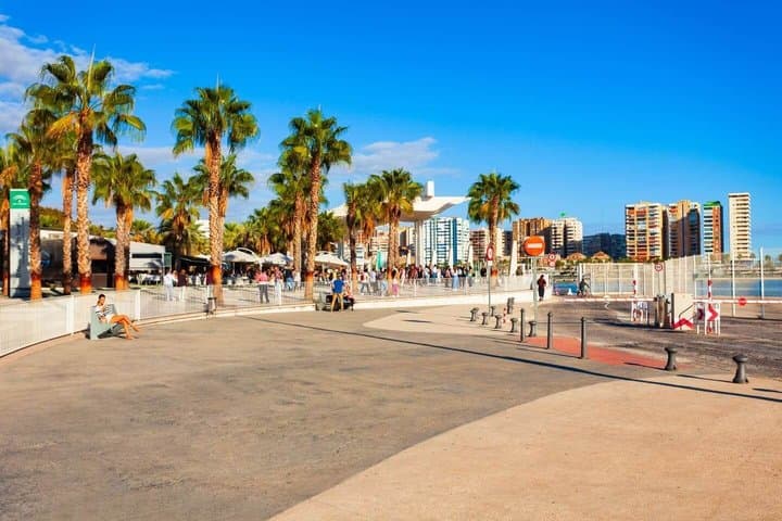 Hello Málaga: Private 2-Hour Intro City Walk with Local Guide