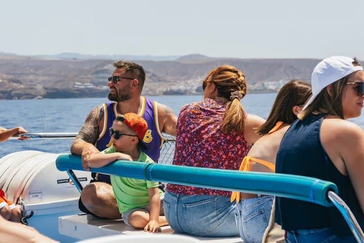 Dolphin and Whale Cruise in Puerto Rico, Gran Canaria